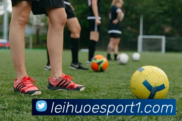 雷火电竞平台生态图