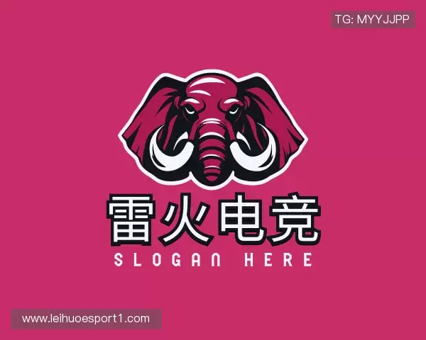 解读雷火电竞中国官网